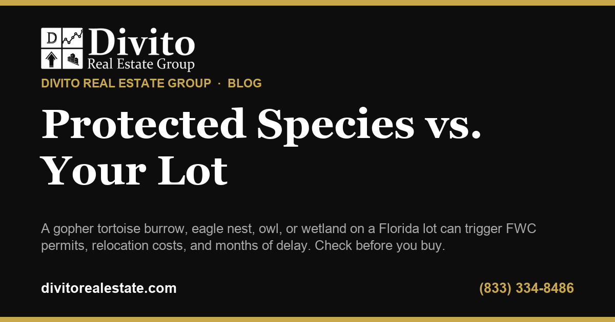 Gopher Tortoises, Eagles & Owls: How Protected Species Can Delay Building on Your Florida Lot